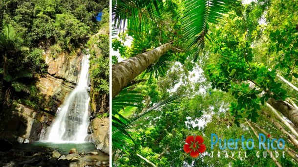 Fajardo - Best Things to Do in Fajardo, Puerto Rico - Tourism Guide 2021